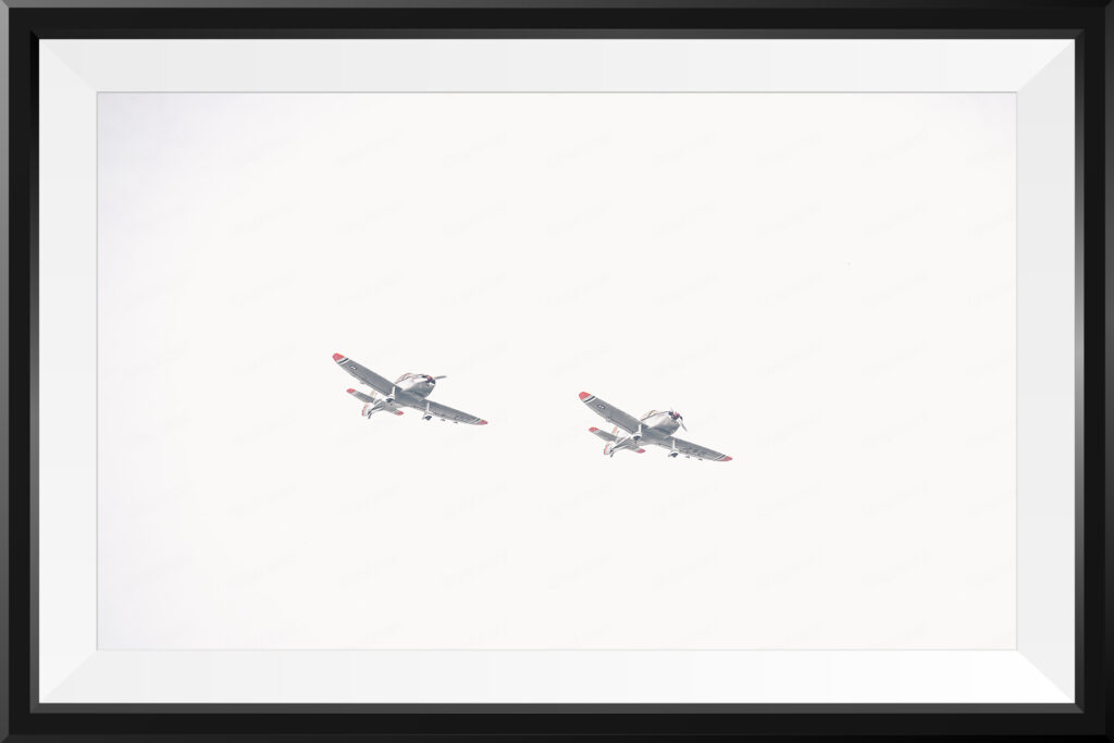 Avion militaire ancien 2 collection minimaliste